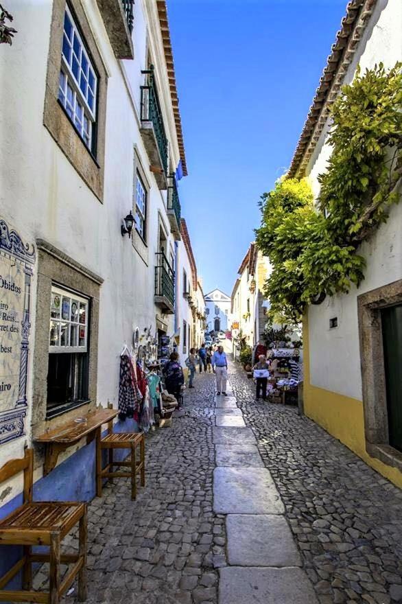 Quinta Turki Malika Villa Obidos Bilik gambar